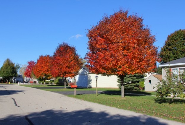 fall-flood-neighborhood